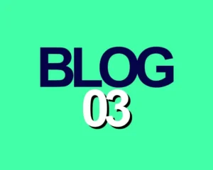 blog 3