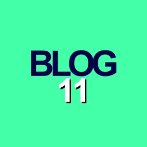 Blog 11